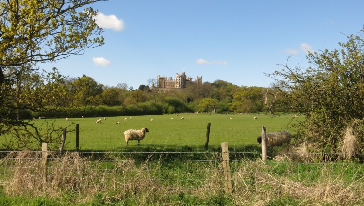 Up on the hill at Belvoir